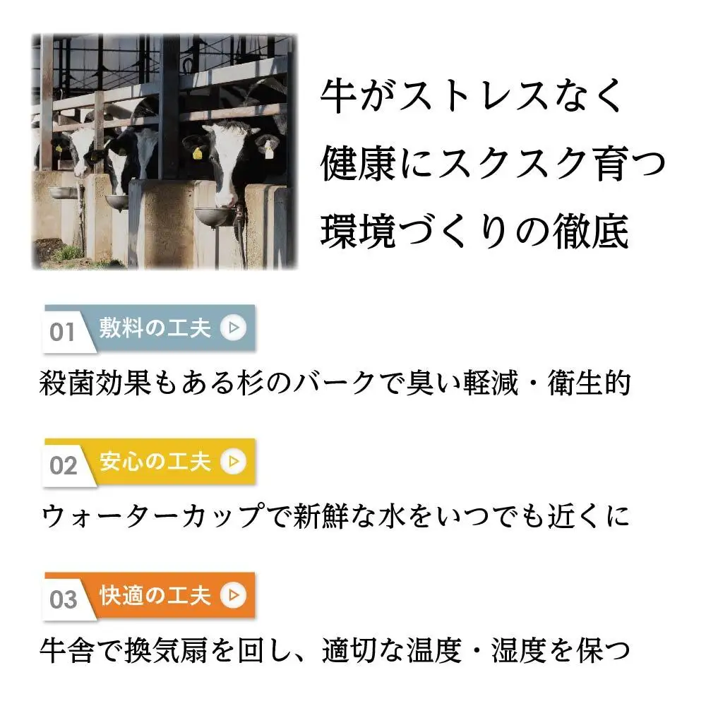 【大田原 前田牧場直送】赤身牛すき焼用切落し 500ｇ×2パック