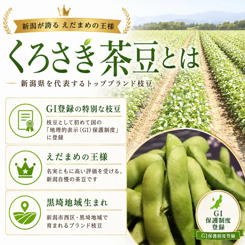 【7月下旬～発送開始】枝豆 3kg 朝採り新潟県黒埼産 枝豆