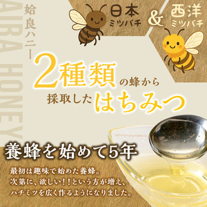 a1002-B 《期間限定！》姶良ハニー(500g)【原電設工業】姶良市 国産 ハチミツ はちみつ 蜂蜜 百花蜜 蜜 常温 常温保存