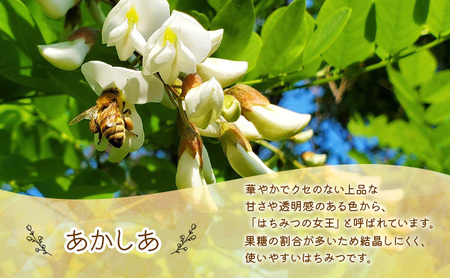 はちみつ あかしあ 300g ボトル アカシア 蜂蜜 国産 岩手県 盛岡市 大西養蜂場