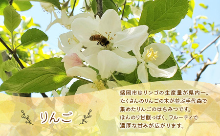 はちみつ りんご 300g ボトル 国産 蜂蜜 リンゴ 林檎 天然 岩手県 盛岡市  大西養蜂場