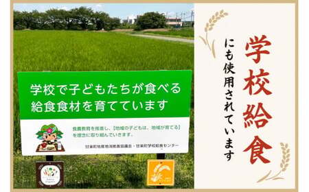 [先行予約] 令和8年度産 [定期便／12ヶ月連続] レンゲ米 計60kg (5kg×1袋×12回) [令和8年10月より順次発送予定]｜2026年度米 数量限定 こしひかり コシヒカリ 精米 白米 お米 ごはん 甘楽町産 国産 [0324]