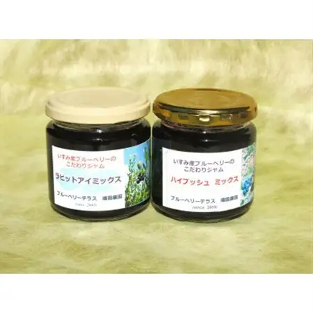 いすみ産(自家農園)ブルーベリーのこだわりジャム4種6個セット(各180g)_惣菜・加工品 ジャム 缶詰・瓶詰 _【1593978】