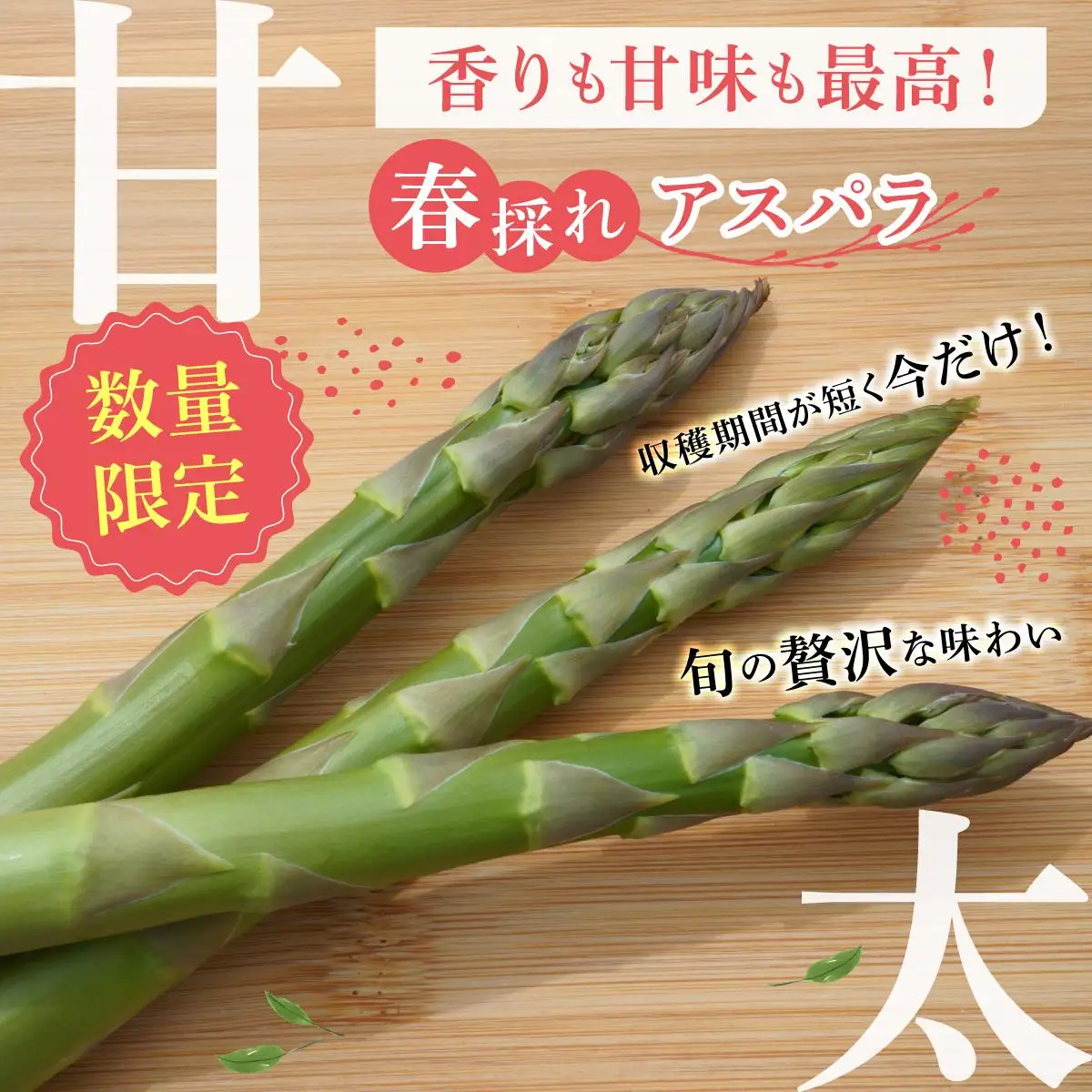 【2027年先行予約】太くてあまーい 北海道産 春芽 アスパラ (約1kg)【55251208】