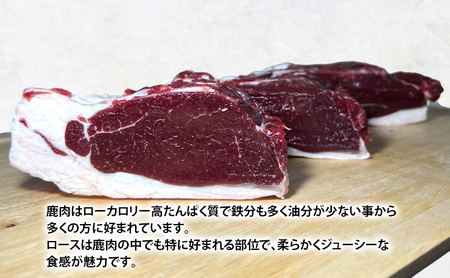 厚岸産 エゾシカ ロースブロック 約1kg エゾ鹿肉