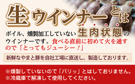 福島県産 やまと豚 生ウインナー ハーブ (各5本×4) 豚肉 福島県 田村市