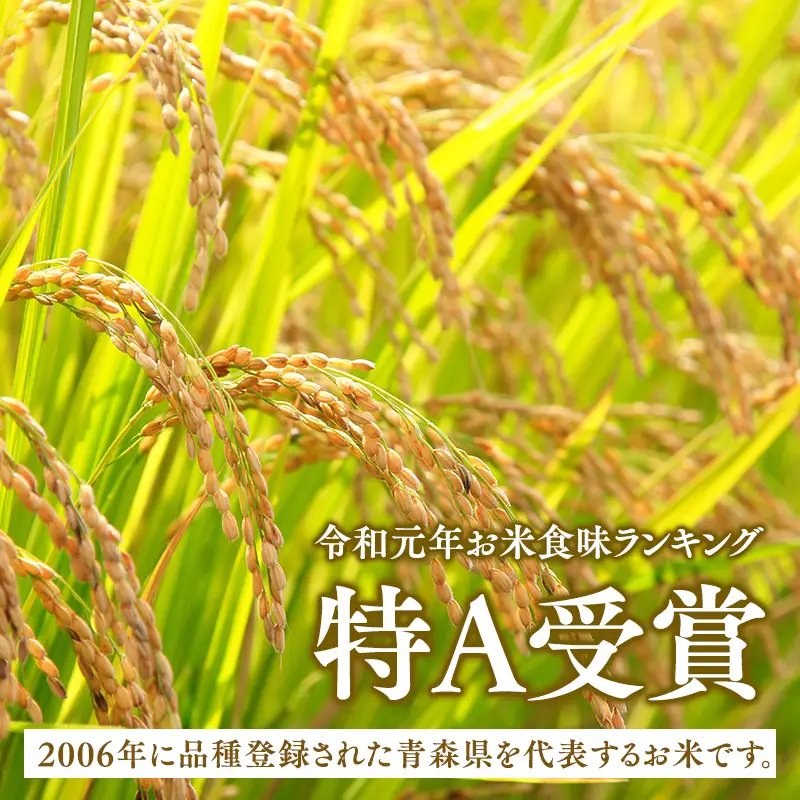 【令和8年産 先行予約】まっしぐら20kg(精米)[hi-0062-011]