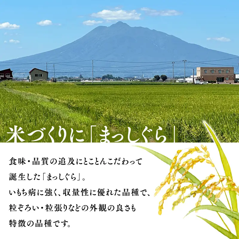 【令和8年産 先行予約 】まっしぐら10kg(玄米)[hi-0062-014]