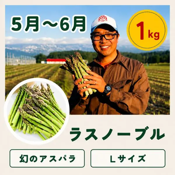 定期便 4回 美瑛野菜 【先行予約】 野菜