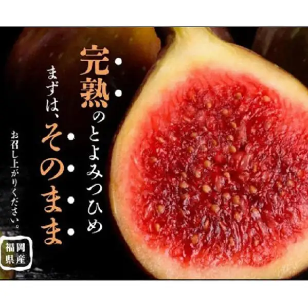 ＜2026年8月以降発送＞とよみつひめ ４パック約1200gセット（福岡市） | フルーツ 果物 くだもの 食品 人気 おすすめ 送料無料