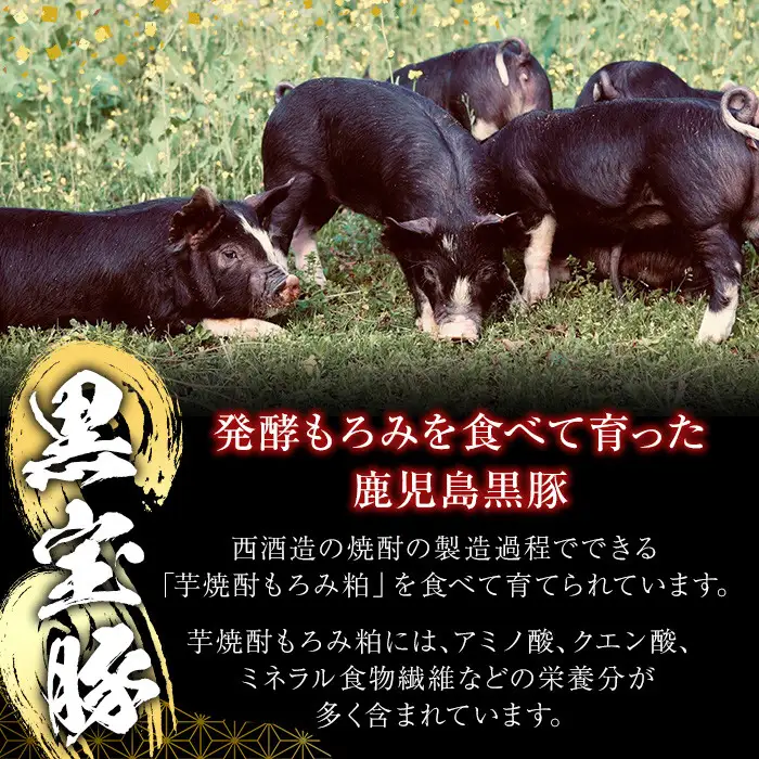 No.1240-a 高級かごしま黒豚！「黒宝豚」しゃぶしゃぶセット(豚バラ/ロース/肩ロース:各300g) ＋かつおだしつゆ！国産 九州産 鹿児島県産 しゃぶしゃぶ 冷凍 黒豚 豚肉 お肉 豚バラ ロース 肩ロース 贈答 プレゼント 贈り物 ふるさと納税 日置市 特産品 豚肉 しゃぶしゃぶ 豚バラ 豚ロース セット 【西酒造】