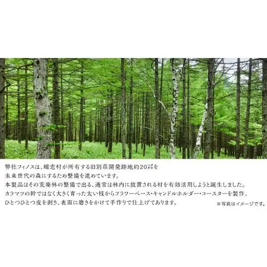 【 SDGs 】フィノスの森 カラマツ間伐材 コースター 5枚セット [BI004tu]