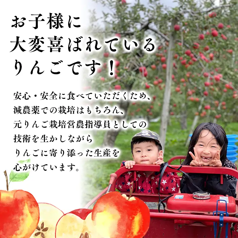 りんご 贈答用 サンふじ 約2kg 青森県平川市産 [hi-0038-016-11]