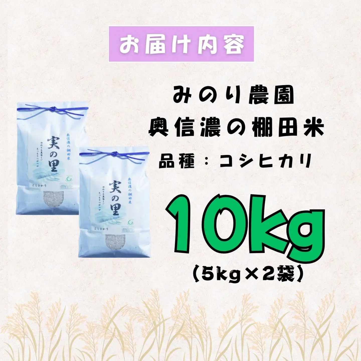 【新米予約】 特別栽培米 こしひかり 10kg 『奥信濃の棚田米 実の里』