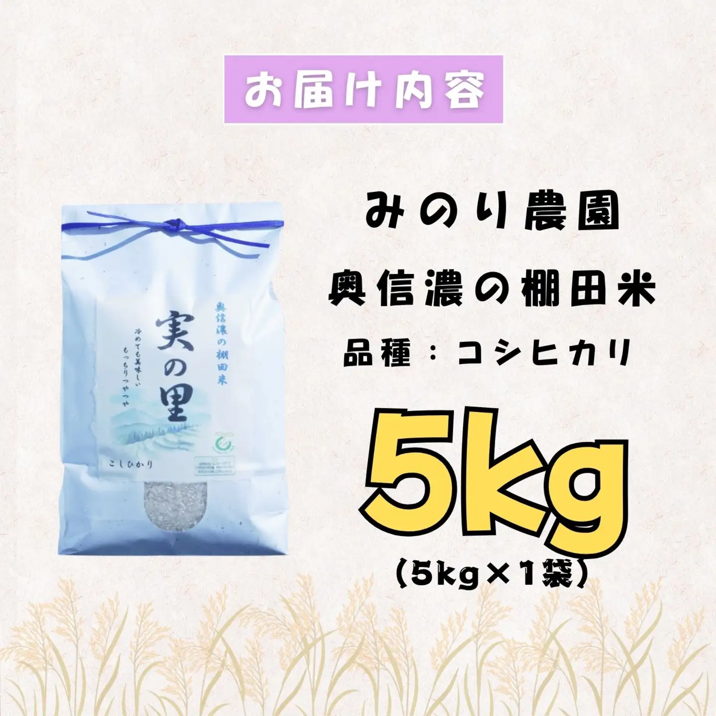 【新米予約】 特別栽培米 こしひかり 5kg 特別栽培米 『奥信濃の棚田米 実の里』