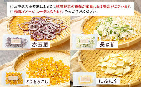 乾燥野菜（8品入り）＋にんにく塩セット 野菜 乾燥野菜 8品 調味料 塩 にんにく塩 セット【2026年12月上旬～2027年1月下旬発送予定】