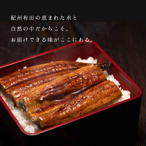 うなぎ蒲焼 2本 角長特製蒲焼タレ 1本 セット 国産 安全 ふっくら うなぎ こだわり 蒲焼き 蒲焼 タレ うな丼 うな重 ひつまぶし う巻き うなむすび 土用 丑の日 水産加工品 魚介 海鮮 海産物 冷凍 和歌山県 湯浅町 お取り寄せ お取り寄せグルメ 送料無料_BC6006