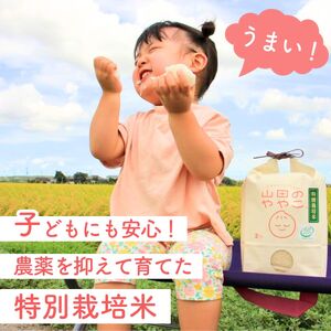 令和8年産新米 特別栽培米 コシヒカリ 山田のややこ 10kg |  コシヒカリ 精米 茨城県 龍ケ崎市   