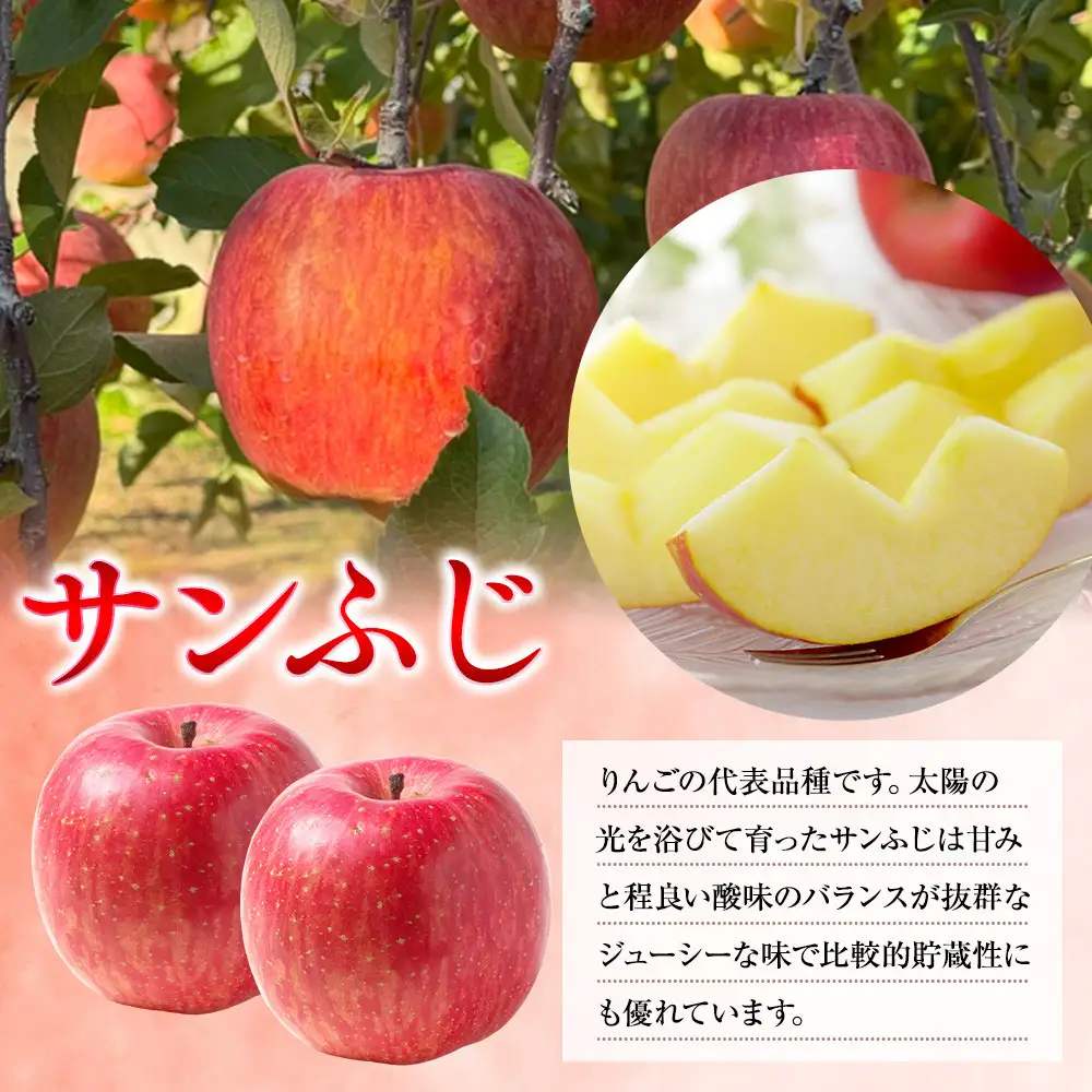 前島農家 信州りんご・サンふじ（家庭用）約5kg（12個～18個） |  りんご