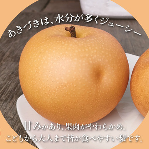 【ふるさと納税】＜2026年9月中旬～10月上旬ごろ発送予定＞＜訳あり 規格外 あきづき梨 3kg(4～7玉)＞先行受付予約 家庭用 自宅用 変形 しみ キズ サイズ混合 ナシ フルーツ グルメ 常温 黒岩 なし 旬 朝ドラ らんまん モデル 牧野富太郎のふるさと 佐川から直送