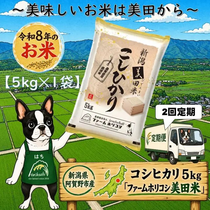 【令和8年産新米】【2ヶ月定期便】阿賀野市産 コシヒカリ 「ファームホリコシ美田米」 5kg×2回  白米 精米 新潟県 米 こめ コメ 10月上旬頃より発送開始予定 3H05024