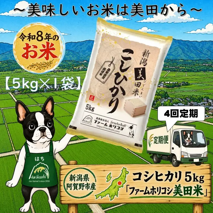 【令和8年産新米】【4ヶ月定期便】阿賀野市産 コシヒカリ 「ファームホリコシ美田米」 5kg×4回  白米 精米 新潟県 米 こめ コメ 10月上旬頃より発送開始予定 3H06048