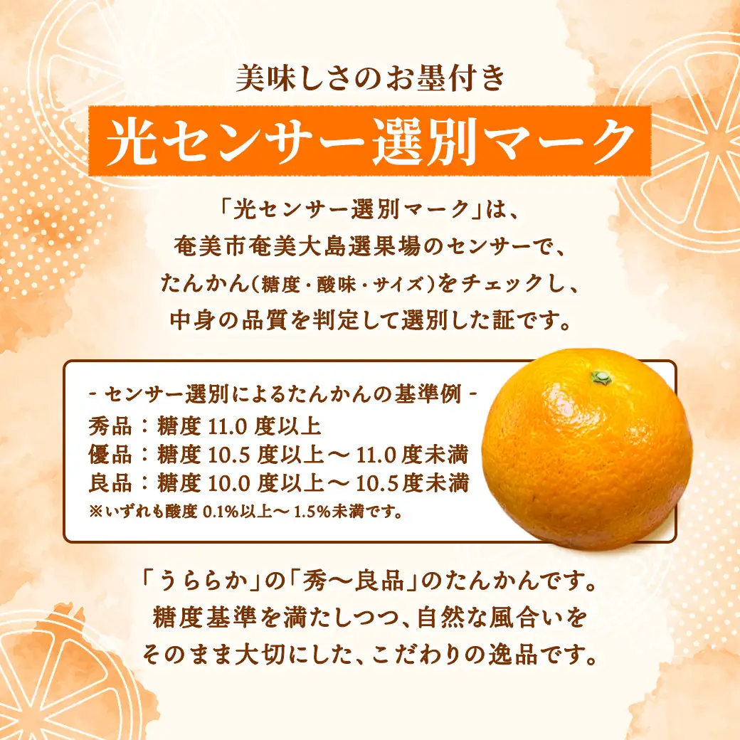 【予約・数量限定】2027年2月～出荷予定《ブランドたんかん》うららか 光センサー 秀優良品 M~2Lサイズ混合 奄美大島産たんかん5kg 渡タンカン農園 もぎたて 旬をお届け