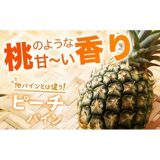パイナップル 【先行予約】ピーチ＆ポコットパイン食べ比べ 1ｋｇ（計２玉）　KN-5