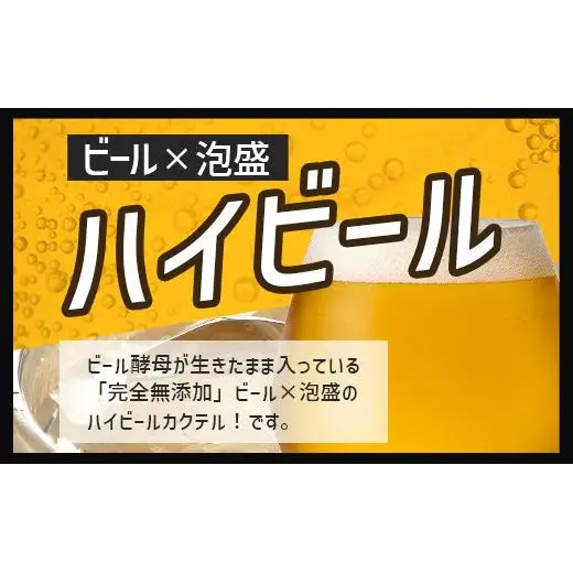 最南端のクラフトビール＆石垣島の揚げ酵母そば　V-28