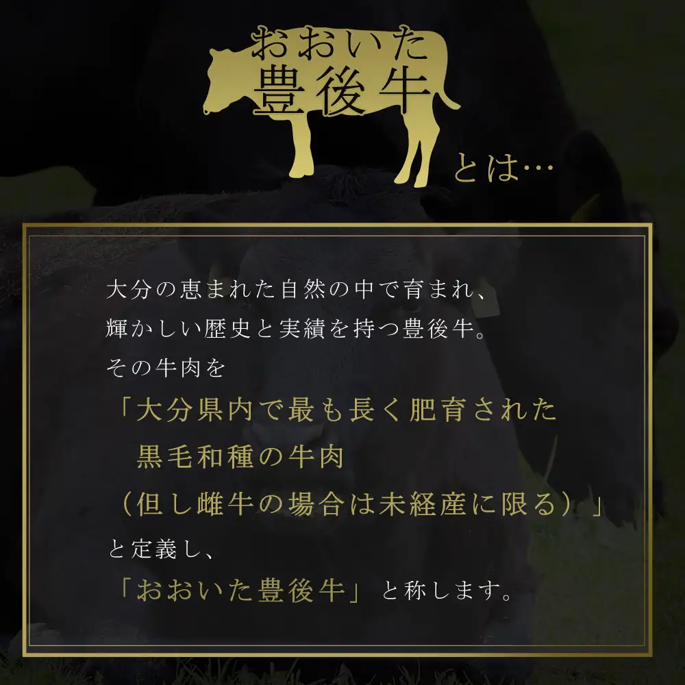 豊後牛ヒレステーキ 150g(150g×1枚) D30 