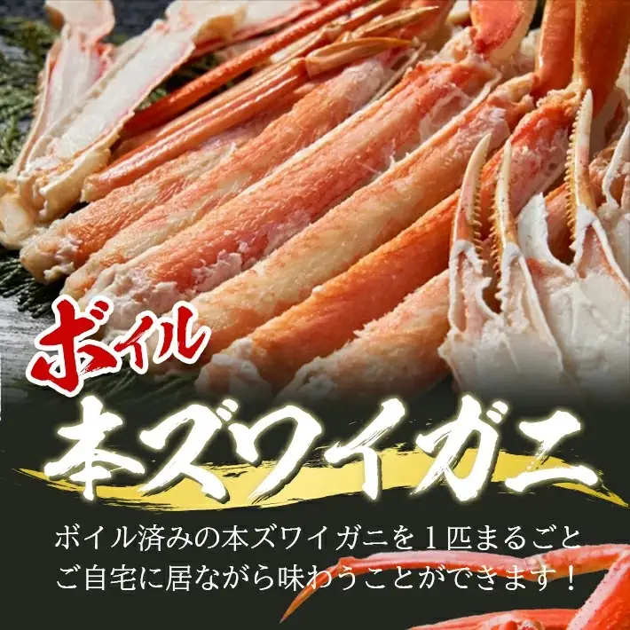 ボイル 本ズワイガニ 1匹 350g程度 遊佐沖 10月中旬～12月下旬頃お届け 冷蔵便 ※着日指定・離島（沖縄県を含む）発送不可 1人前 東北 山形県 遊佐町 庄内地方 日本海 カニ 蟹 かに 海産物 シーフード 海鮮 新鮮 まるごと ボイル 焼き 期間限定 ゆで 茹で [850]
