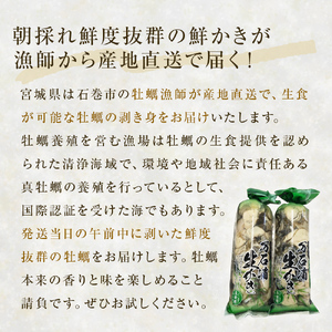 ＜先行予約：2027年1月配送開始＞ 生牡蠣 牡蠣 生食用 かき剥き身 500g 2本入 水無し 生産者直送 かき 生食 魚介 魚介類