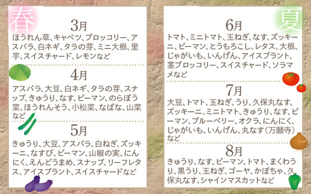 定期便 《6ヶ月連続お届け》旬のおまかせ「若狭みはま」の新鮮野菜セット 8種以上＋特産品1品【ふるさと納税 春野菜 夏野菜 秋野菜 冬野菜  定期便 定期 やさい 野菜 セット 詰合せ 大容量 産地直送 旬 新鮮 採れたて おススメ 人気 】  [m80-g001]
