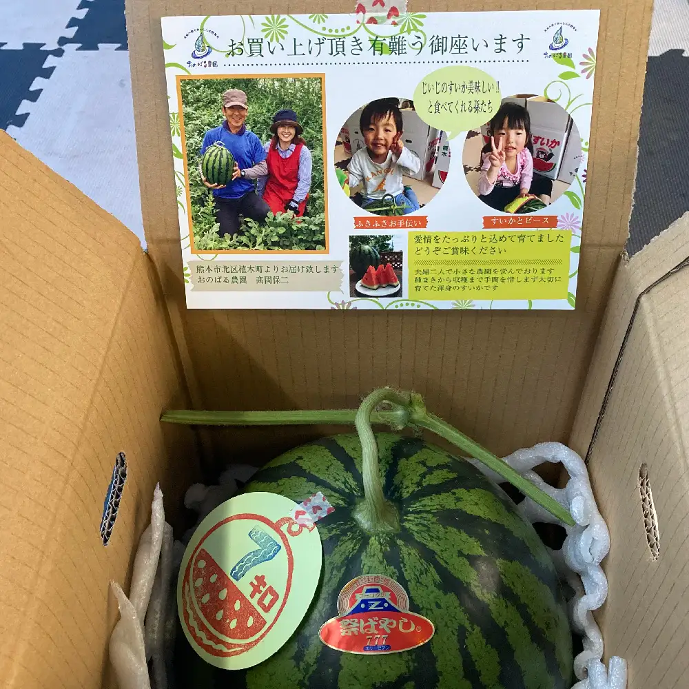 ＜ R8年熊本地震復興支援 ＞大玉スイカ 1玉（6kg以上） スイカ すいか 西瓜 大玉 果実 国産 熊本県産 【2027年4月下旬～5月下旬迄発送予定】