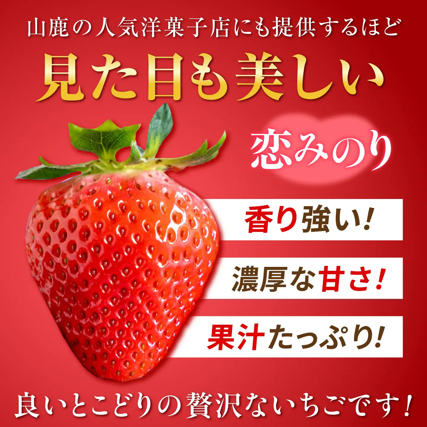 【先行予約】 いちご 恋みのり 約540g(約270g/6~11粒×2p)産地直送こば農園 熊本苺イチゴフルーツZFO001