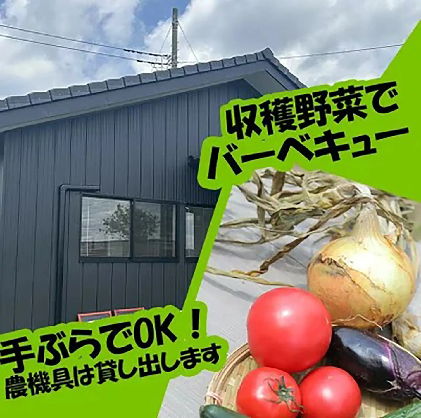 市民農園 ハルファーム 利用券 (5㎡ 1年分)【農園】