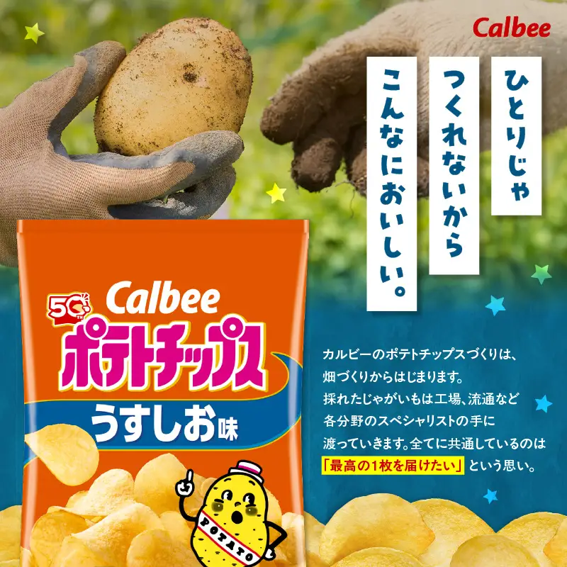 カルビー ポテトチップス【うすしお】16袋 K194-002_03 菓子