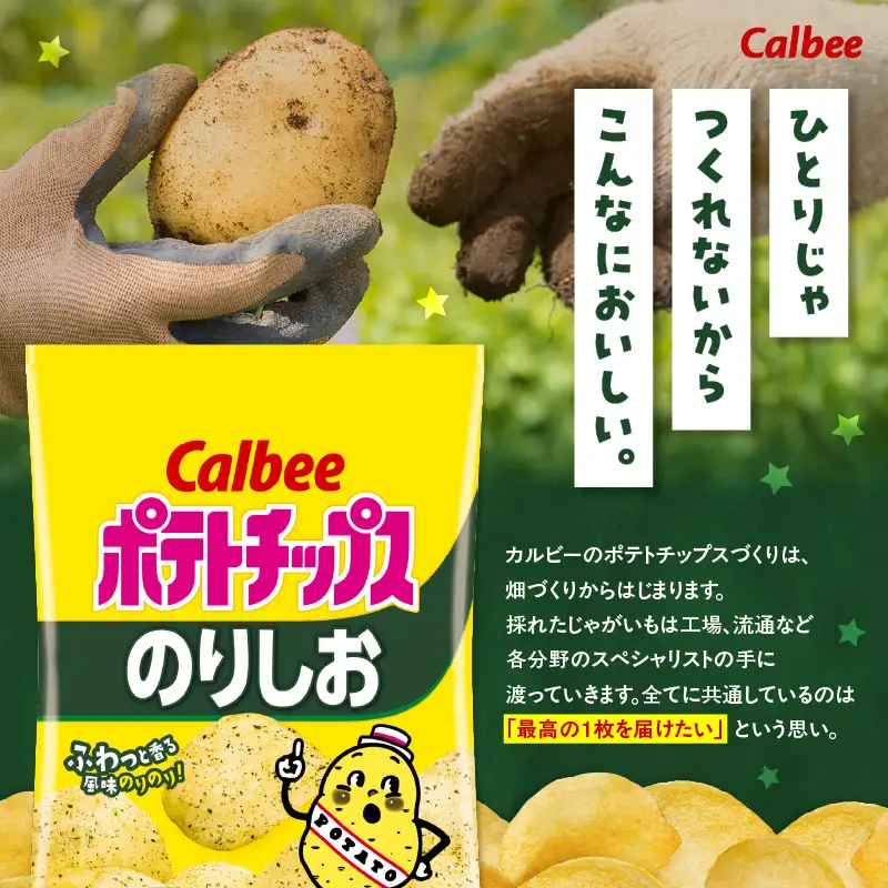 カルビー ポテトチップス【のりしお】16袋 K194-002_07 菓子