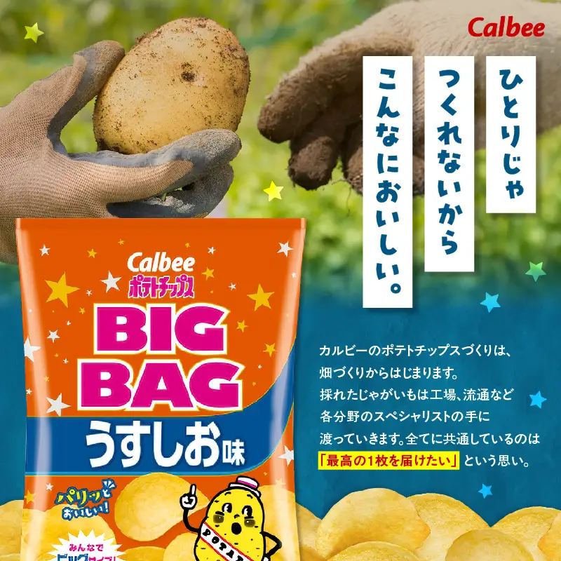 カルビー ポテトチップス BIGBAG【うすしお】12袋 K194-002_04 菓子