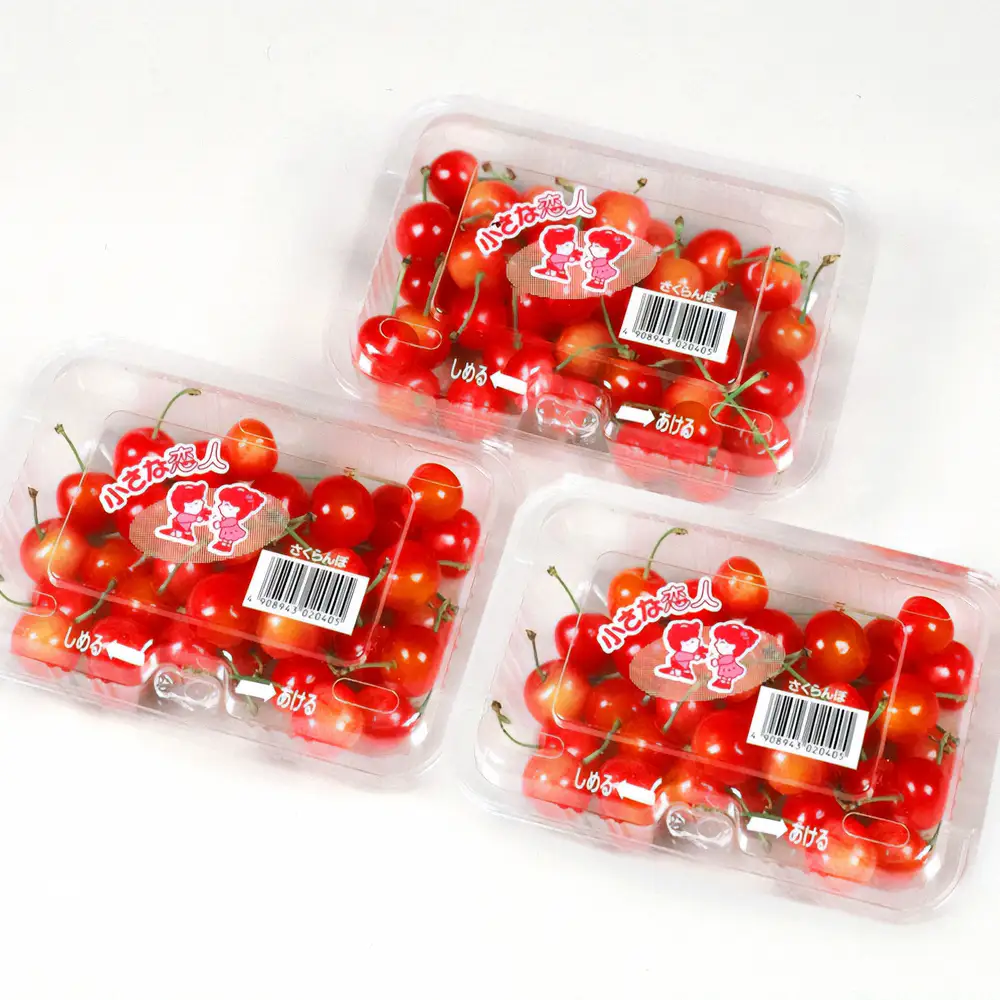 【先行予約】 さくらんぼ ご家庭用 佐藤錦 秀品 M玉以上 約540g 令和9年産 2027年産 山形県産 フルーツ 果物 tf-snpsm540
