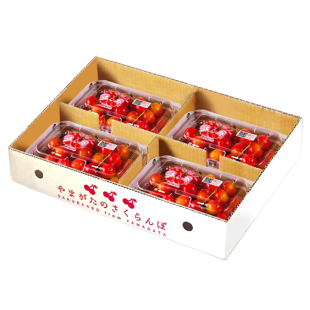 【先行予約】 さくらんぼ ご家庭用 佐藤錦 秀品 M玉以上 約720g 令和9年産 2027年産 山形県産 フルーツ 果物 tf-snpsm720