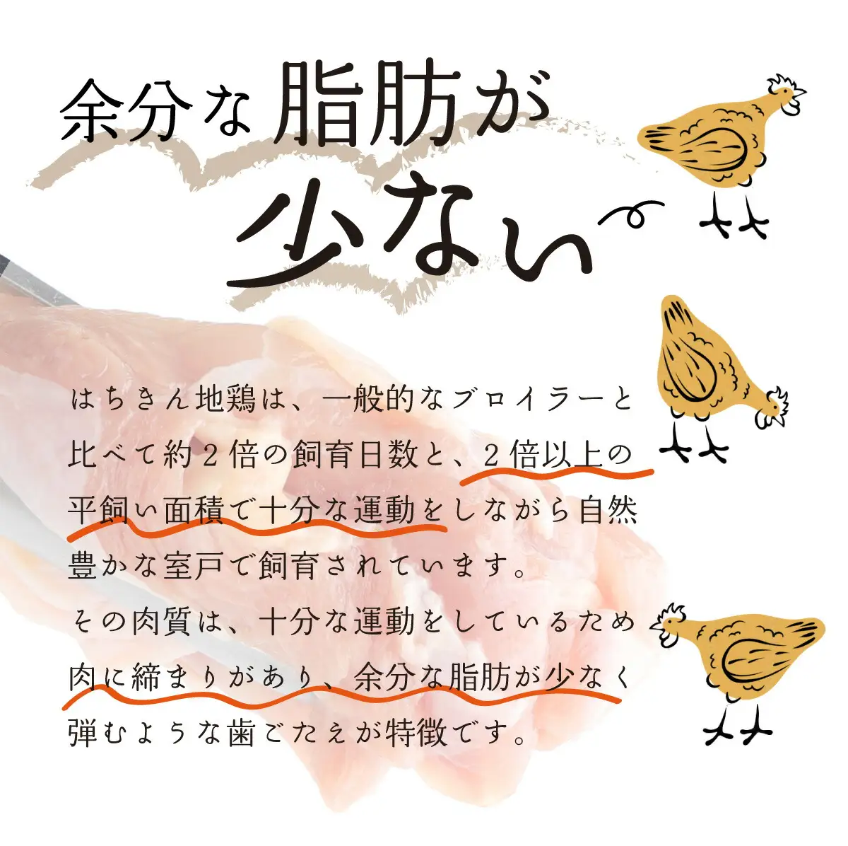 【高知県室戸市】はちきん地鶏 味付き手羽元1kg 地鶏肉 国産鶏肉 唐揚げ からあげ カレー BBQ バーベキュー 冷凍