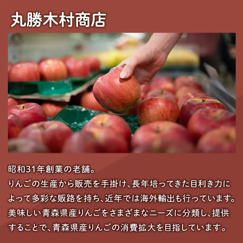 りんご 家庭用 有袋ふじ5kg りんご