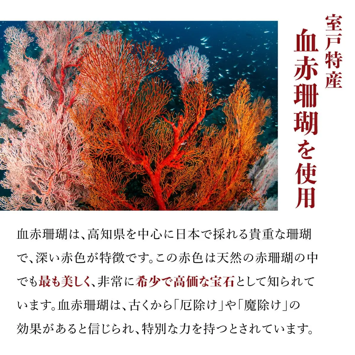 赤珊瑚 ピアス 珊瑚 FN-Limited-PR
