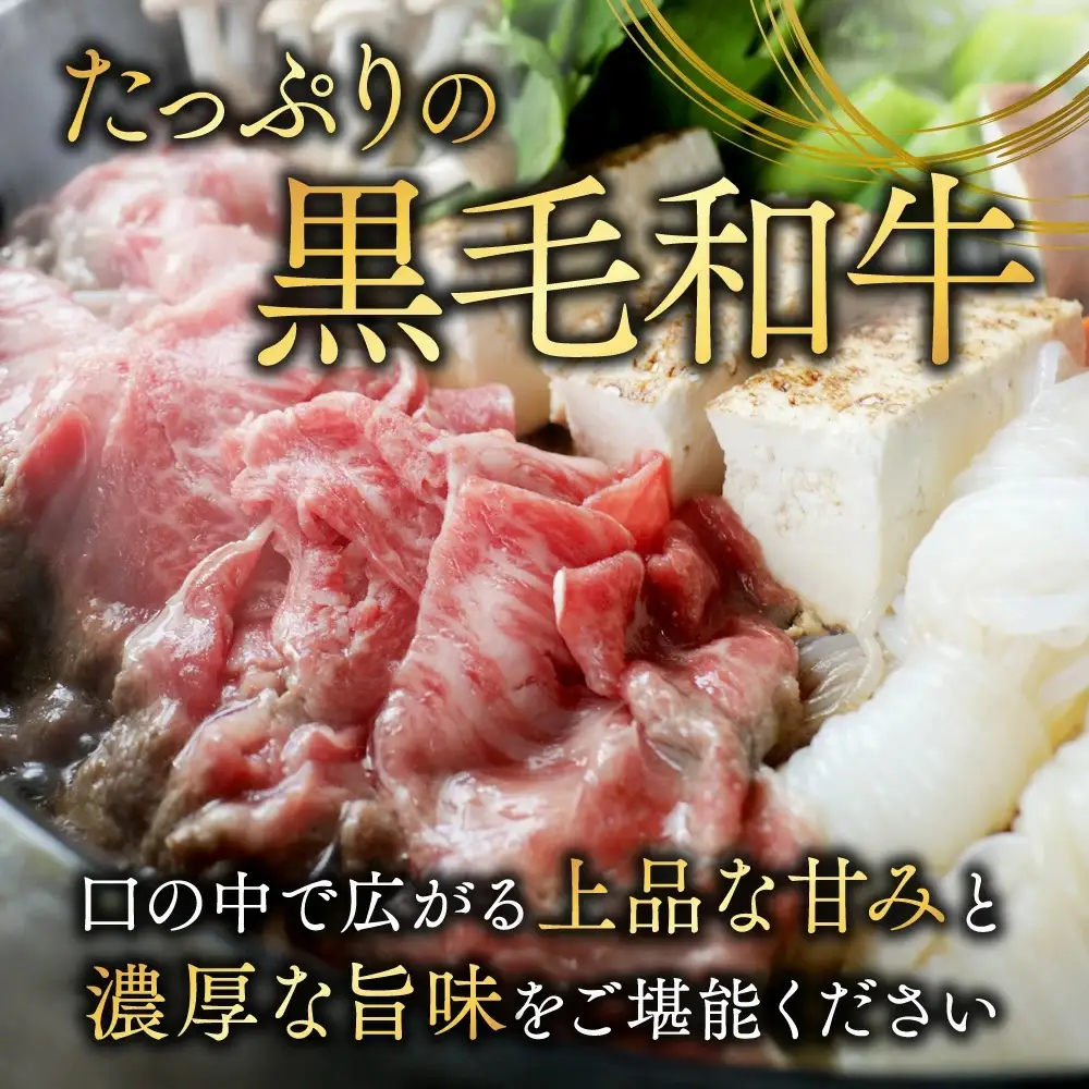 【黒毛和牛】切り落とし1kg(250g×4パック)〔13-I901〕_(都城市)国産黒毛和牛 切り落とし 250g×4パック 外モモ・ウデ・マル・バラ・モモ・ブリスケのMIX 肉じゃが 牛丼 ハヤシライス ビーフシチュー ブリスケ 