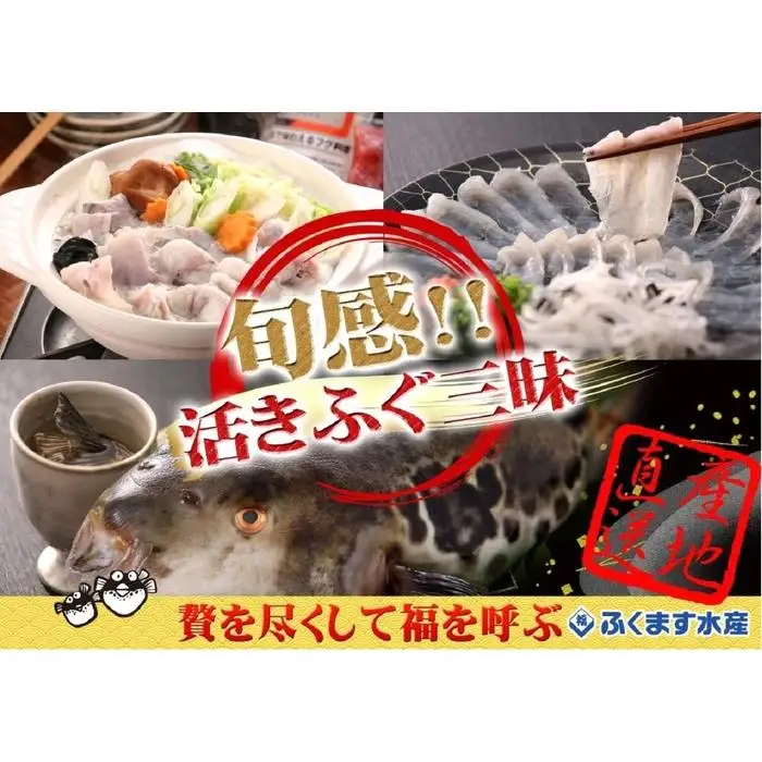 【重箱B】※トラフグ薄造り・鍋(4人前セット) ふぐ専門店ふくます水産「博多の台所：福岡中央卸売市場」より直送 | さかな 食品 水産 ふぐ