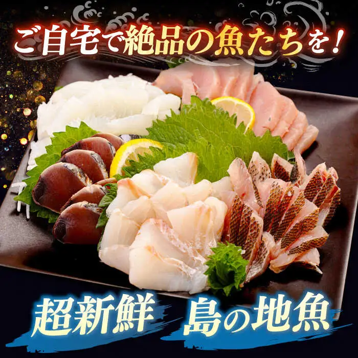 刺身 (全2回定期便) JFO005 刺身盛りセット