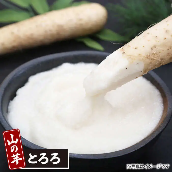 【全6回定期便】山の芋3種セット[APAD007] 冷凍食品 おかず 惣菜