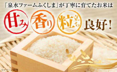 こしひかり 3kg×2袋 計6kg [APAJ007] こしひかり