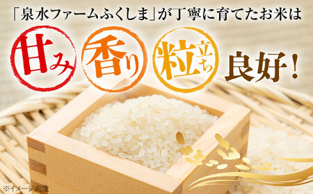 【新米】【全3回定期便】泉水のこしひかり 3kg×2袋 計6kg [APAJ010] 米